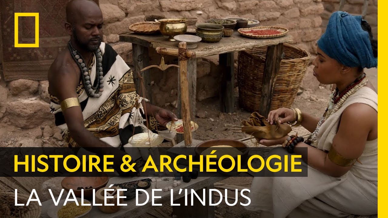 Henné Indus Valley 100g - Teinture Naturelle Pour Cheveux - Neuf