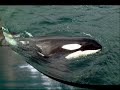 Will never forget you Keiko Will never forget you Keiko