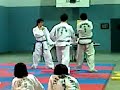 Rotura en madera - Tae Kwon Do - bandae dollyo goro chagui