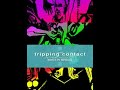 Beatmania IIDX 13 DistorteD - tripping contact (remix)