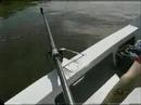 Paul Attalla CTV interview