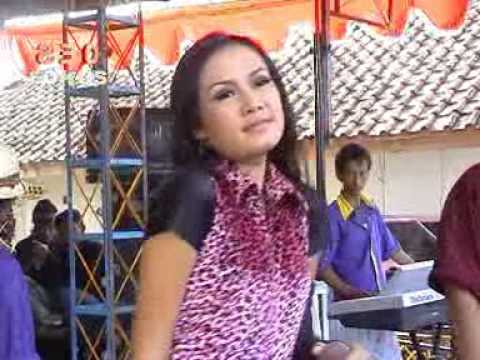 Ula Pucuk