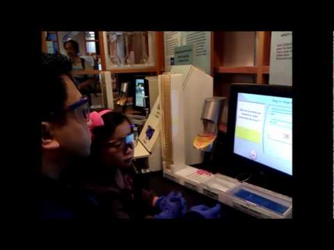 how to grow jellyfish