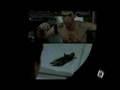 DOMINIK MOLL interview: "Lemming"
