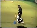 Crufts 2006 - Obedience Championship - Kamal & Tai