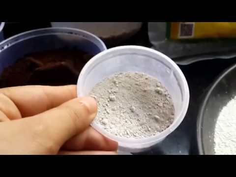 how to fertilize plants in pots