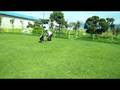 (NV100HD) Dog Jumping Through Obstacles