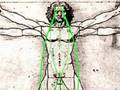 Human Harmonics - Chakras & Acupuncture points