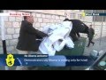 Palestinians protest Obama Israel visit: activists ...