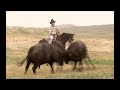 Scott Kleeb for U.S. Senate - \"1884\" Ad