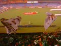 torcida jovem do flamengo na libertadores 2007