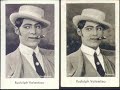 rudolph valentino -  volare, a tribute