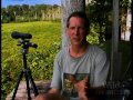 National Geographic Wild Chronicles : Gorilla Tool Use