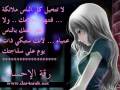 white flower.wmv