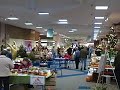 WEB_1392.MP4