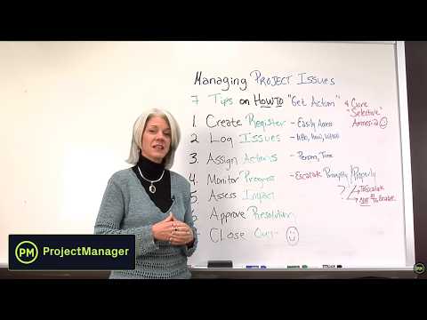 Managing Project Issues Video
