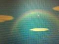 ACWW:the raimbow