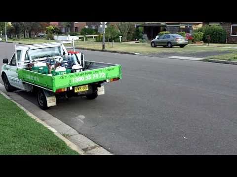 how to fertilize buffalo grass