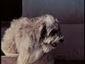 how-to-dance-1-2-step-ciara-music-video-by-corey-vidal.html