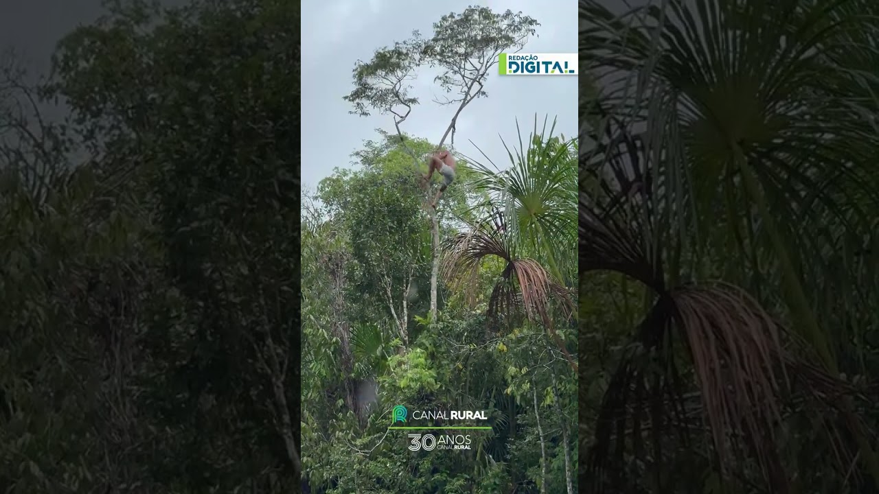 Vídeo mostra diversão raiz no interior do Pará antes da internet