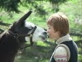Llamas 2008