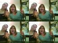SOME GUNTHER SONG by kelly and syreena SOME GUNTHER SONG by kelly and syreena