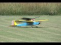 R/C Turkey Vulture Maiden Flight