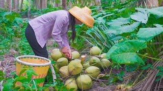 Chinese coconuts