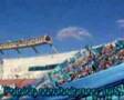 Belgrano contra river