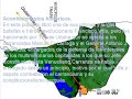 Mis Raices Petroleras_Ebano de Mis Amores