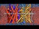 The Ribosome: An Infomercial