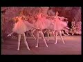 waltz of the flowers from the nutcracker  mariinsky ballet 