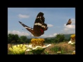 Mastermind XS - Sunny Day [HD] - YouTube