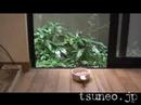 おやびん♪