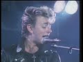 Stray Cats - Little Miss Prissy