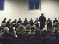 Perpetua Melomania - Jeff Hijlkema performed by the Mandolin Chamber Orchestra HET CONSORT (Part I)