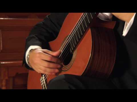 Miodrag Zerdoner - Elogio de la guitarra - Allegro Partie#1.mov