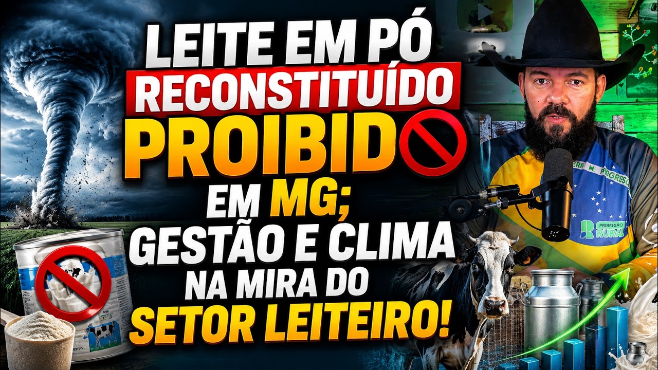 Leite em pó reconstituído PROIBIDO em MG; Gestão e clima na mira do setor leiteiro!