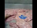 jamon mandolina