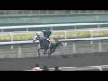 videos de S02 - MARCHAND D'OR 1