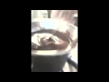 Rocky Road recipe