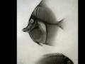 Early Science Photography: X-Rays