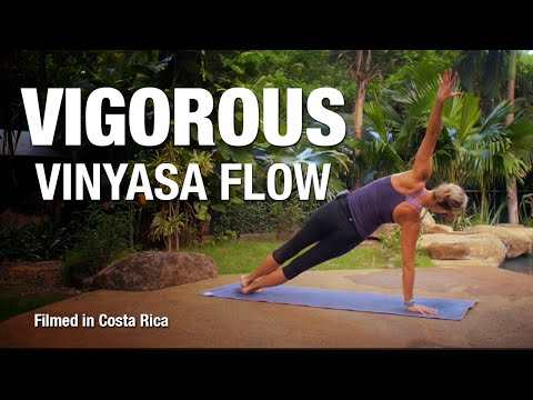 Vigorous Vinyasa Flow Yoga Class (30 min) – Five Parks Yoga