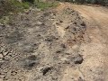 WR 250R RustyG61 corner shot