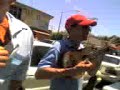 el bistek con tomatito parte 1