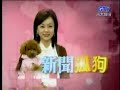 2008-02-28 5 之 4 新聞孤狗 GooGo