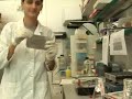 CSIC: Laboratorio de Genética Molecular Vegetal