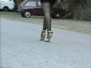 Fully Fashioned nylons and gold stilettos