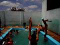 videos de Saltos em pisinas