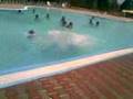 videos de baya turchese..tUffi spAstici